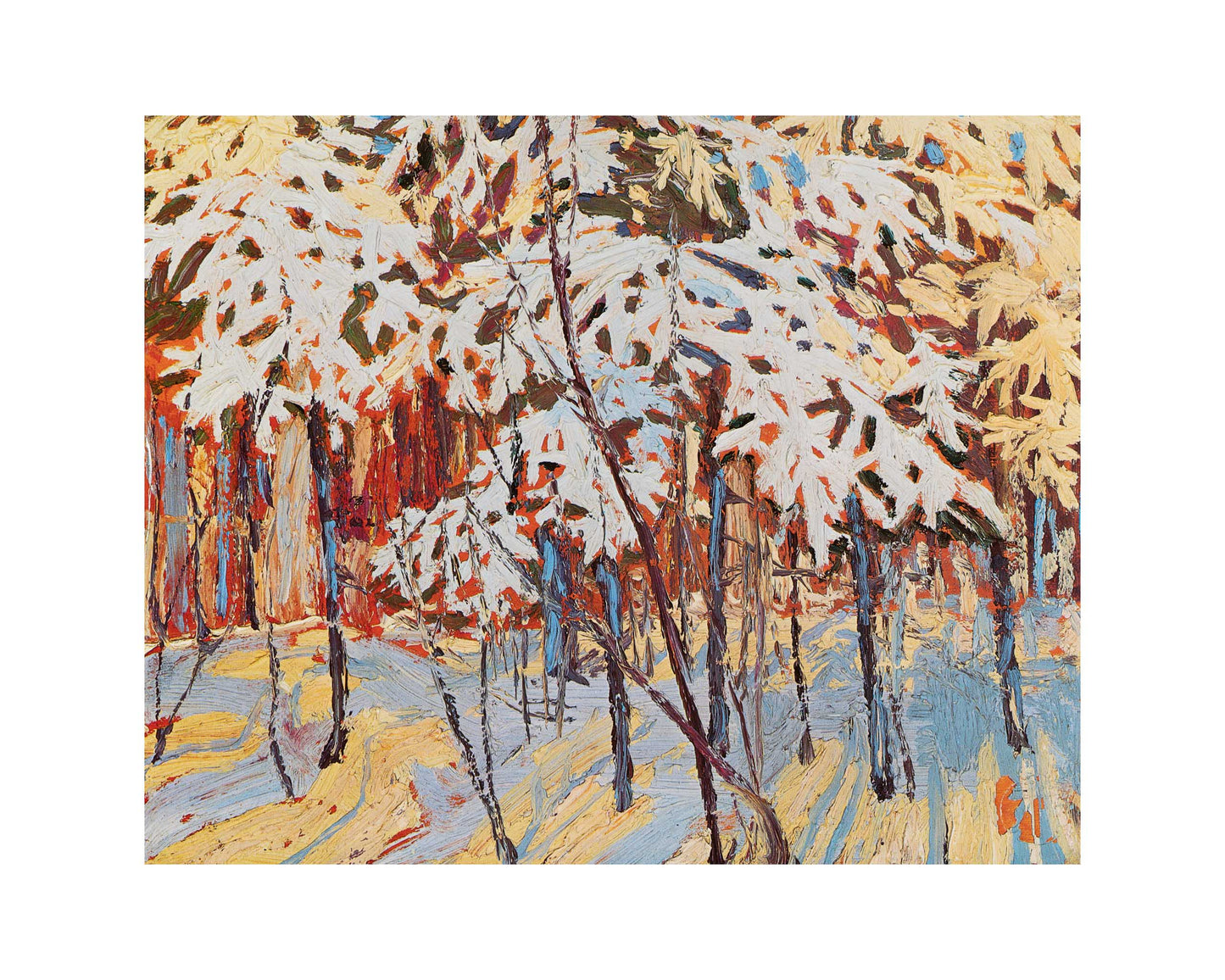 Snow-Covered Trees