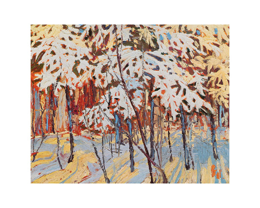 Snow-Covered Trees