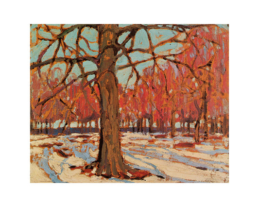 First Snow
