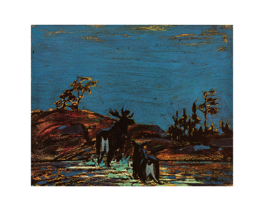 Moose At Night
