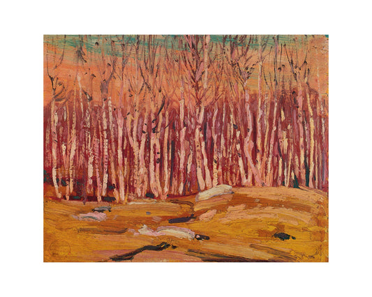 Pink Birches