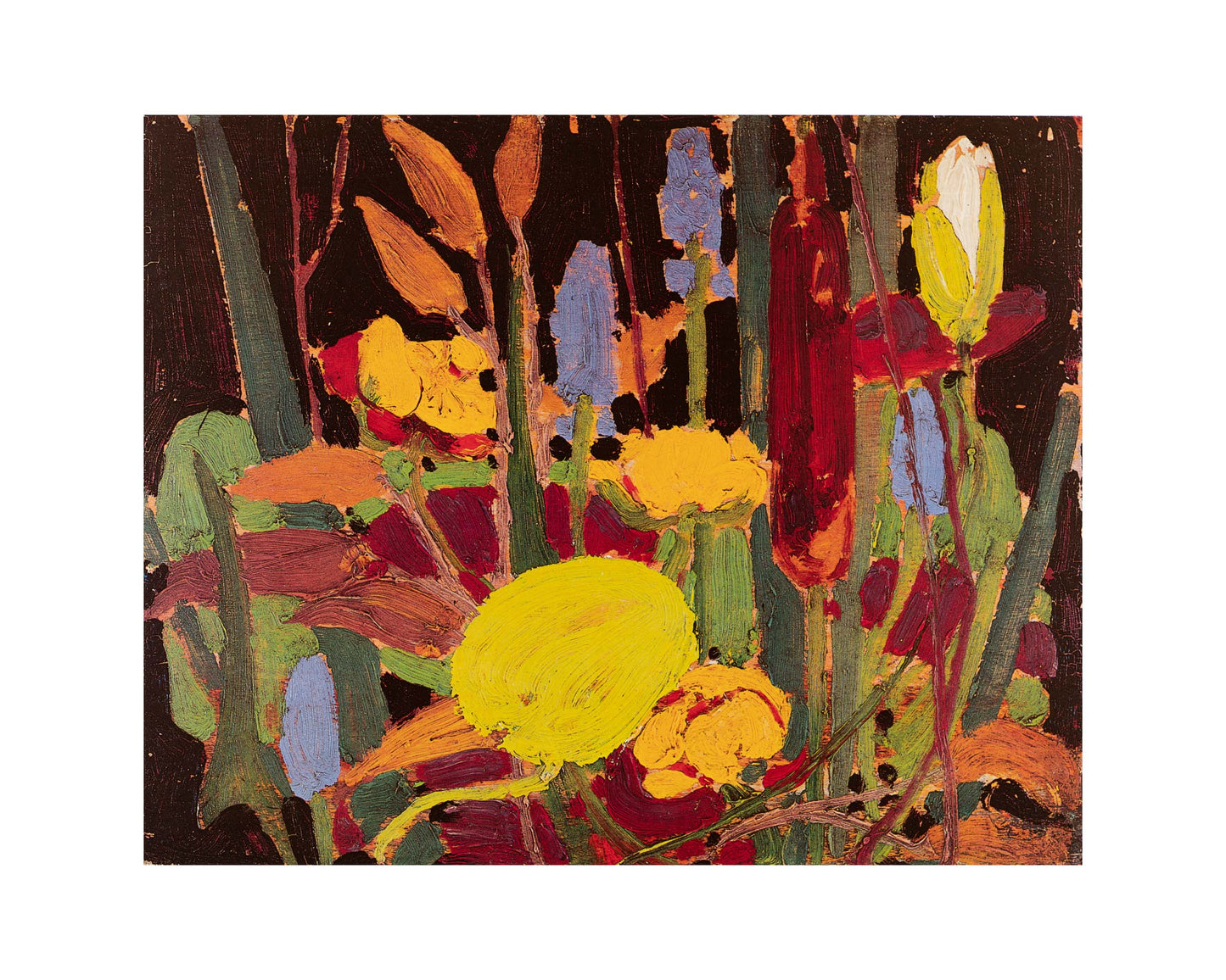 Water Flowers