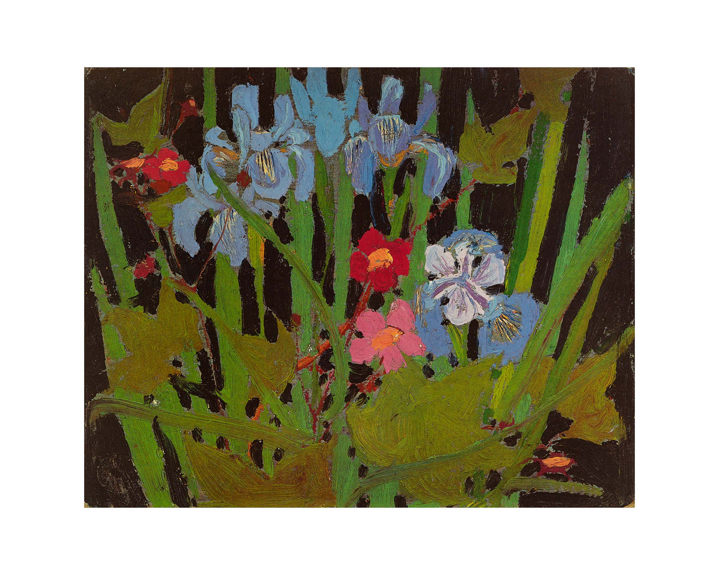 Wildflowers II