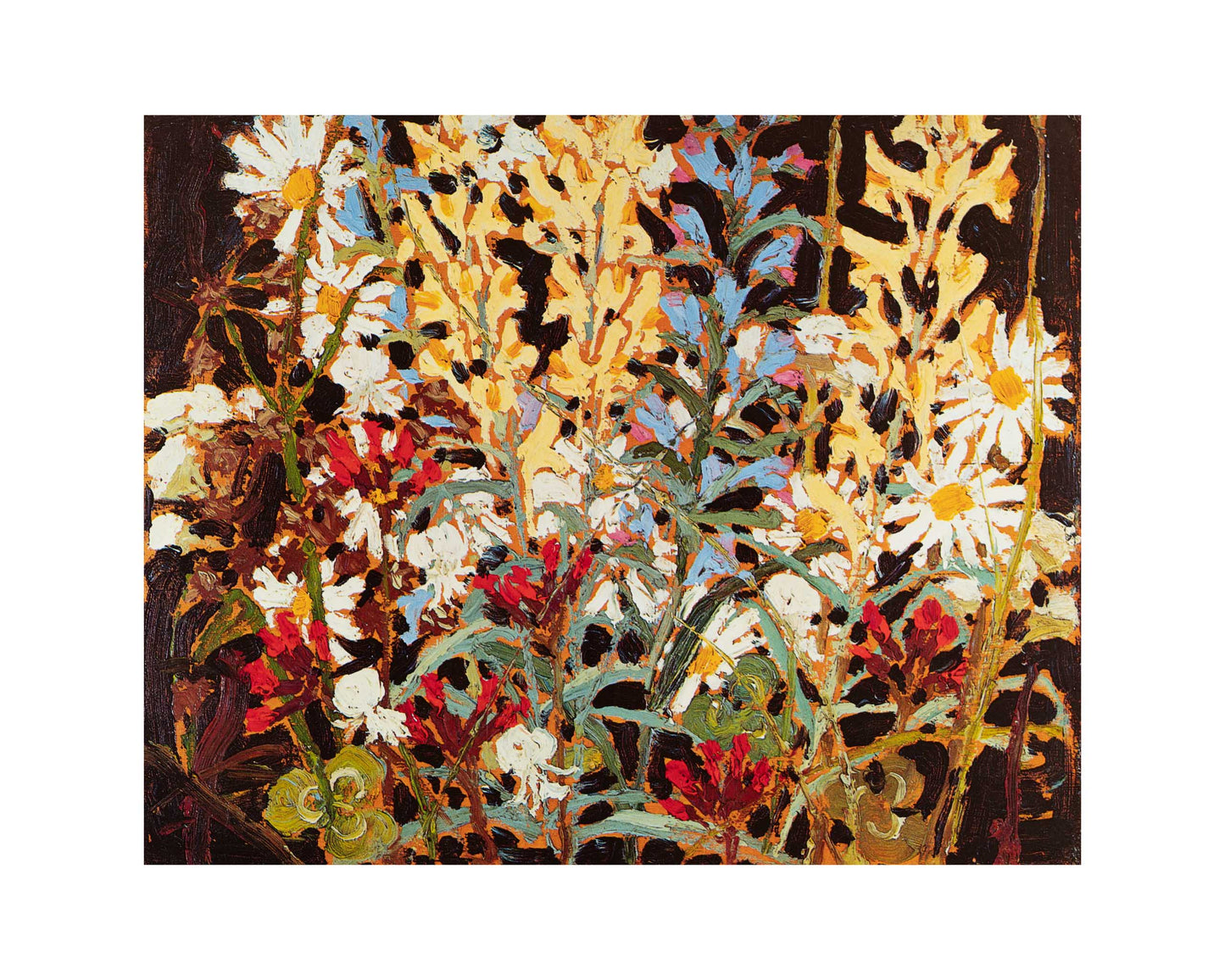 Wildflowers I