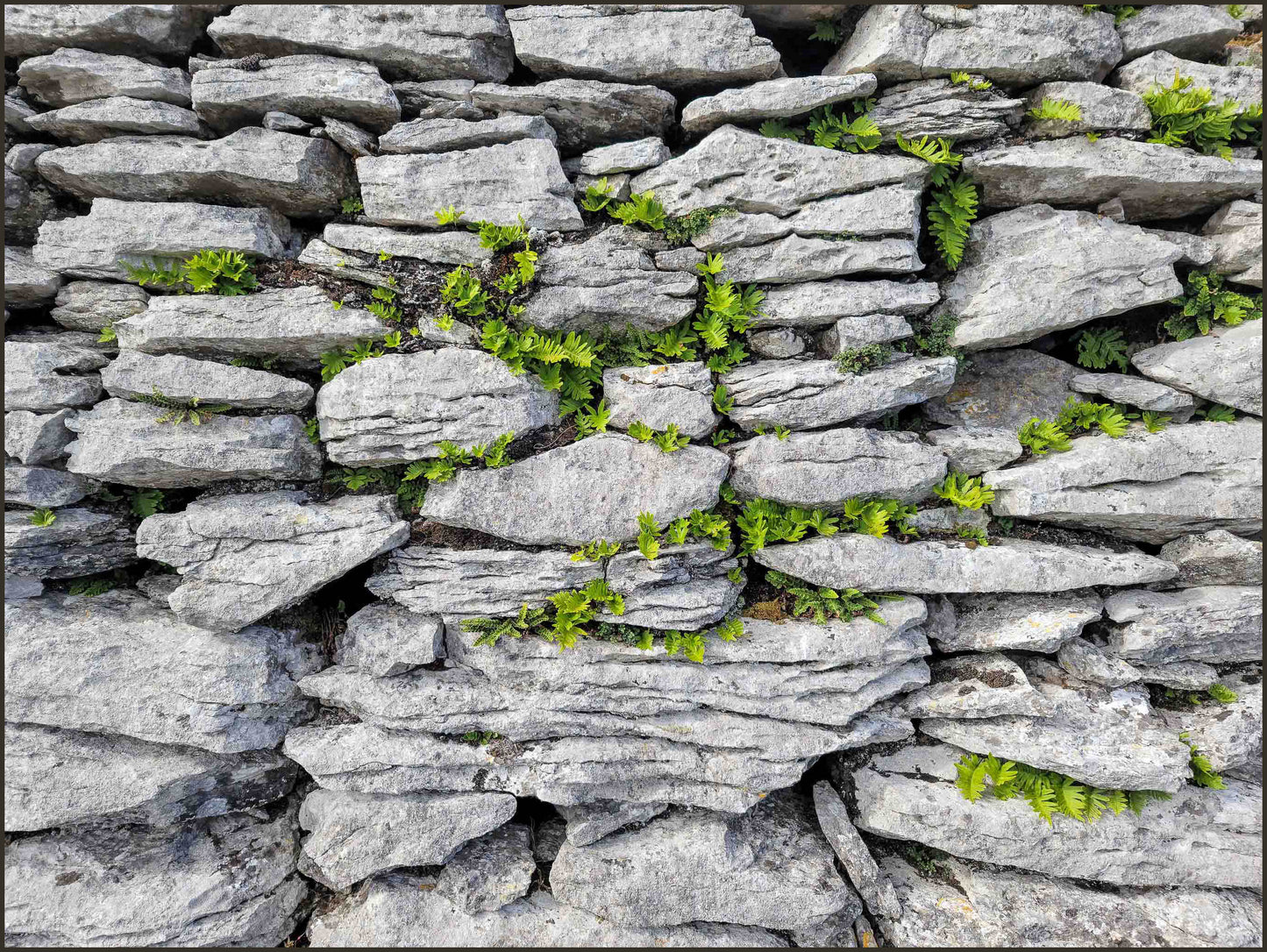 Old Stone Wall