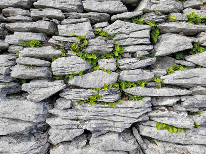 Old Stone Wall